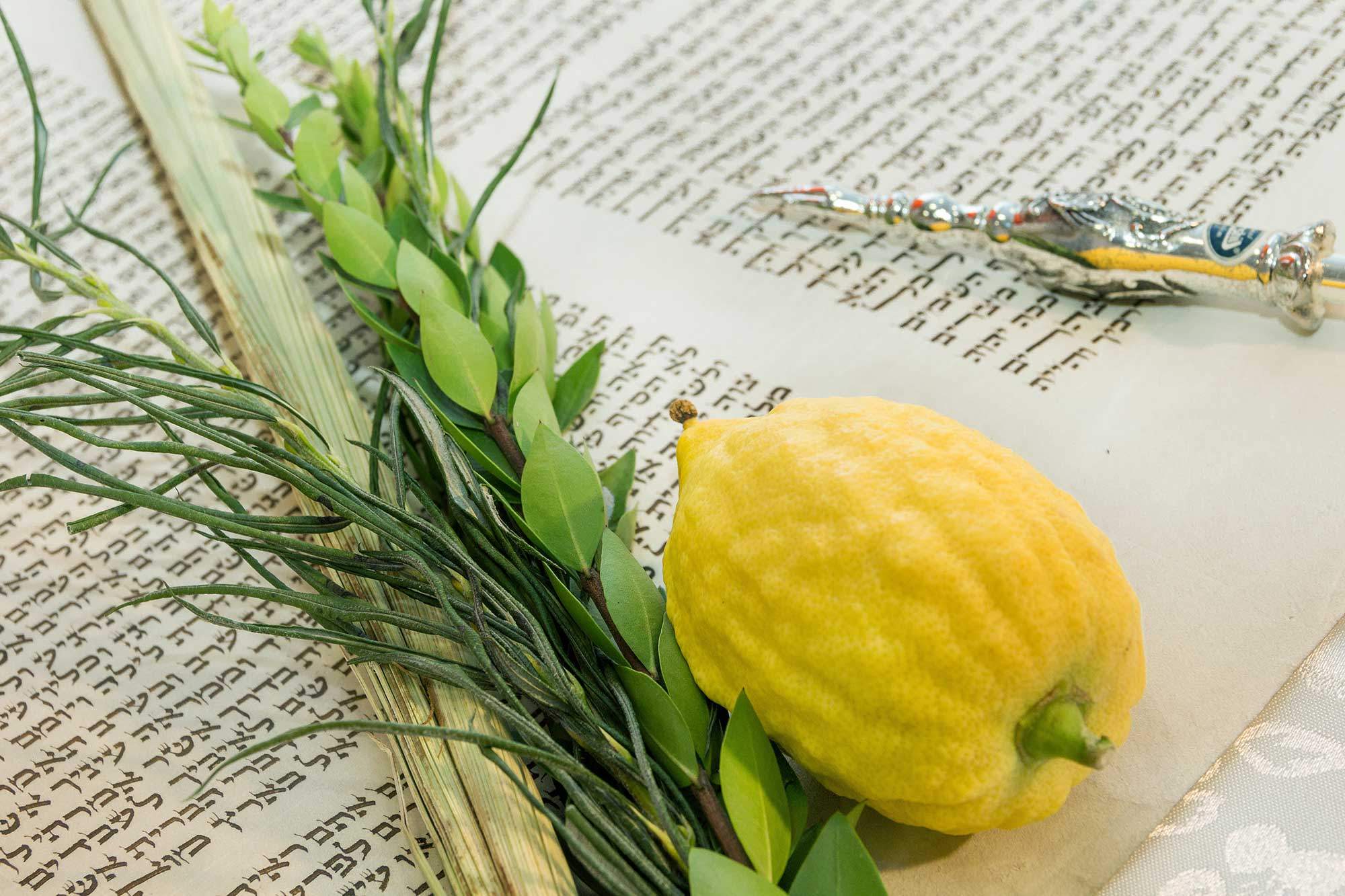 Sukkot Services Day 2